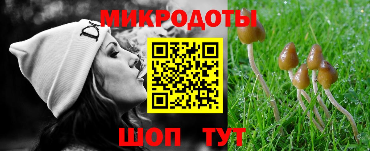 Галлюциногенные грибы Cubensis Юрга