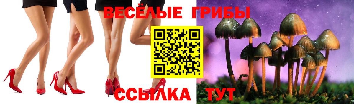 Юрга  Псилоцибиновые грибы ЛСД  Вход с VPN 